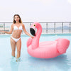 Inflatable Flamingo