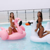 Inflatable Flamingo